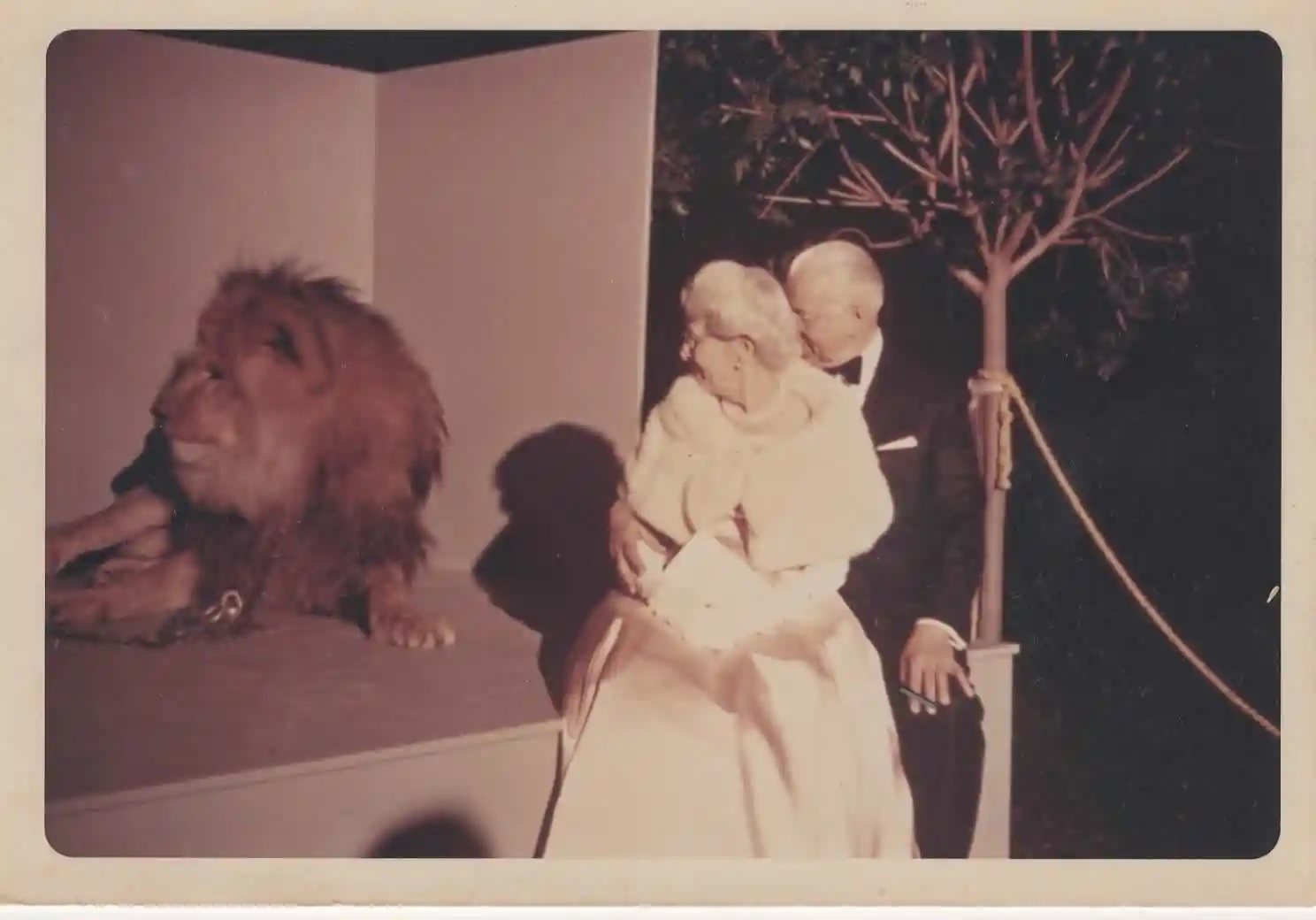 AC dance Jan 1967 with lion + Armstrongs